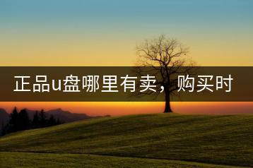 正品u盘哪里有卖，购买时应注意哪些事项？-千羽学社
