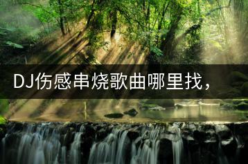 DJ伤感串烧歌曲哪里找，有没有好的视频资源？-千羽学社