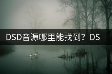 DSD音源哪里能找到？DSD音质和无损音乐差别何在？-千羽学社