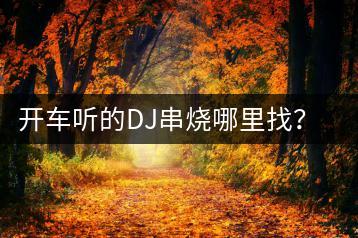 开车听的DJ串烧哪里找？车载经典歌曲大全如何获取？-千羽学社