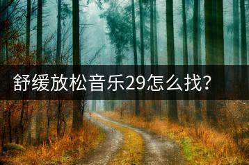 舒缓放松音乐29怎么找？轻音乐和纯音乐有何区别？-千羽学社