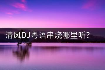 清风DJ粤语串烧哪里听？推荐哪些歌曲？-千羽学社