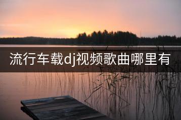 流行车载dj视频歌曲哪里有？如何在线播放dj车载劲爆音乐？-千羽学社