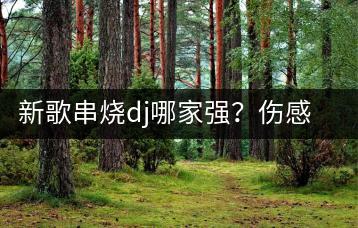 新歌串烧dj哪家强？伤感音乐合集哪里有？-千羽学社