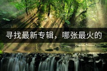 寻找最新专辑，哪张最火的专辑不容错过？-千羽学社
