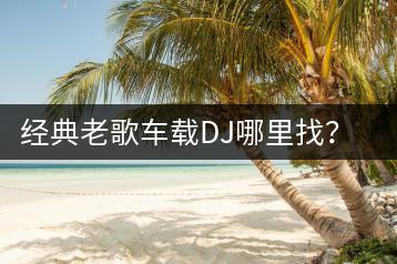 经典老歌车载DJ哪里找？音质如何保证？-千羽学社