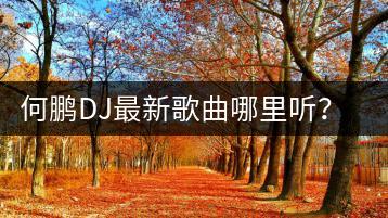 何鹏DJ最新歌曲哪里听？串烧歌曲有哪些推荐？-千羽学社
