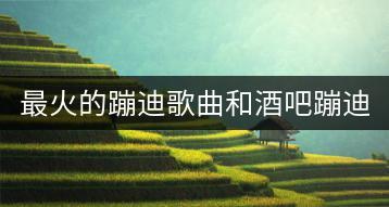 最火的蹦迪歌曲和酒吧蹦迪歌曲大全去哪里找？-千羽学社
