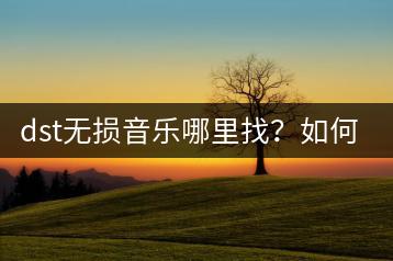 dst无损音乐哪里找？如何免费享受到高品质音乐？-千羽学社