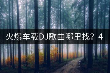 火爆车载DJ歌曲哪里找？40首推荐哪里听？-千羽学社
