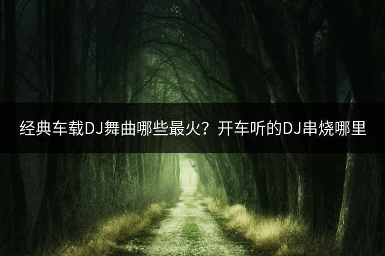 经典车载DJ舞曲哪些最火？开车听的DJ串烧哪里有？