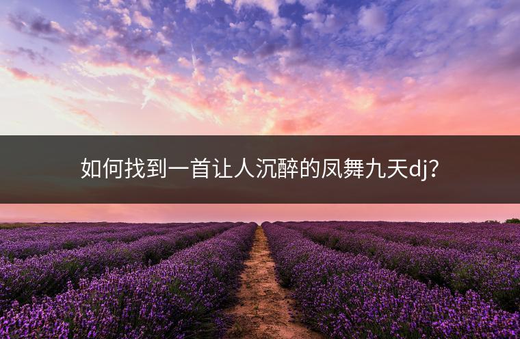 如何找到一首让人沉醉的凤舞九天dj？
