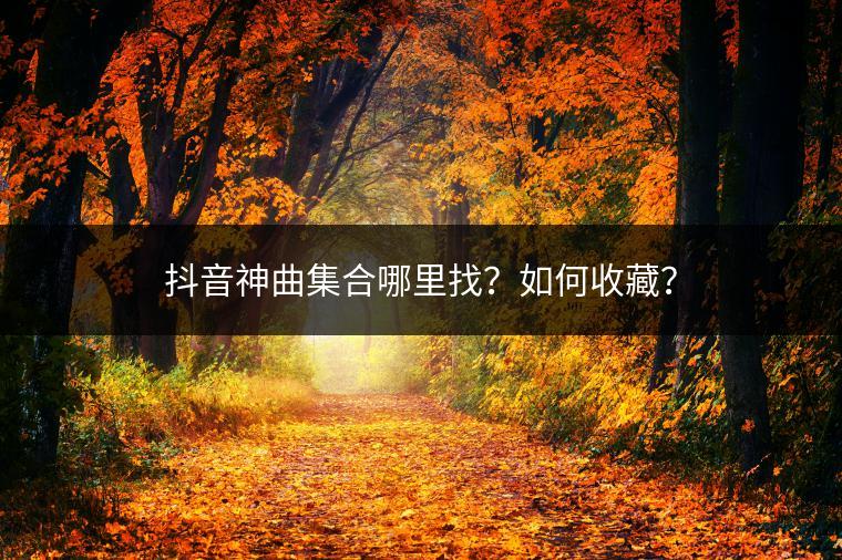 抖音神曲集合哪里找？如何收藏？