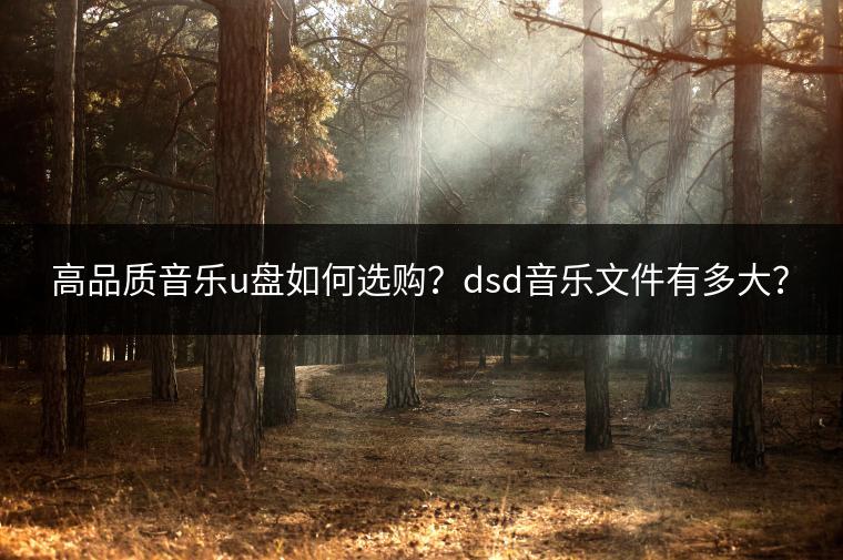 高品质音乐u盘如何选购？dsd音乐文件有多大？