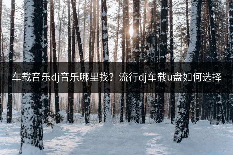车载音乐dj音乐哪里找？流行dj车载u盘如何选择？