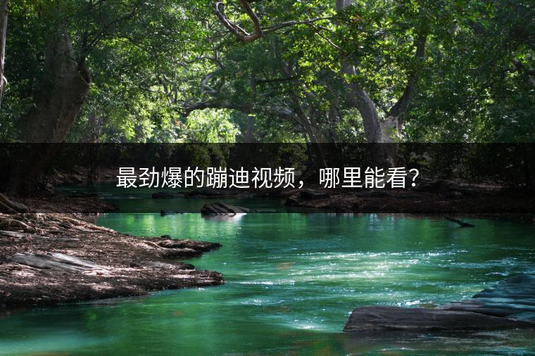 最劲爆的蹦迪视频，哪里能看？