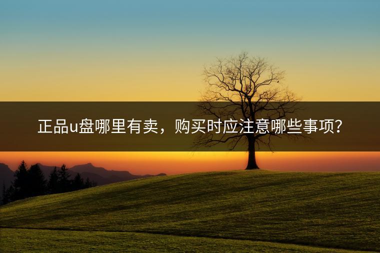 正品u盘哪里有卖，购买时应注意哪些事项？