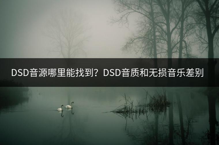 DSD音源哪里能找到？DSD音质和无损音乐差别何在？