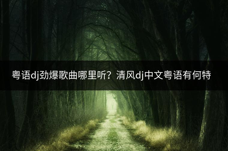 粤语dj劲爆歌曲哪里听？清风dj中文粤语有何特色？