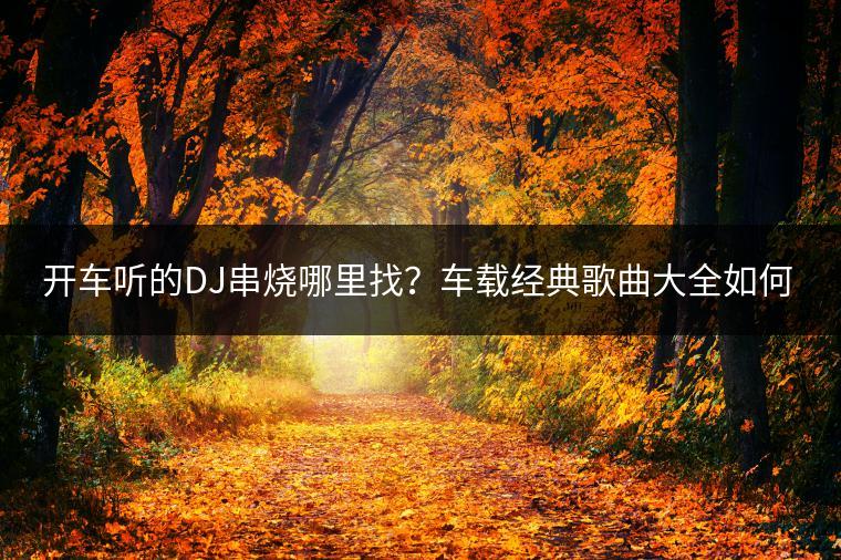 开车听的DJ串烧哪里找？车载经典歌曲大全如何获取？