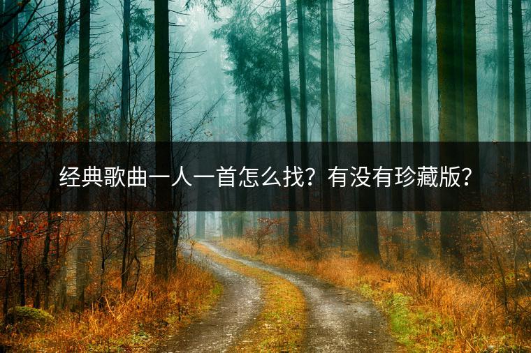 经典歌曲一人一首怎么找？有没有珍藏版？