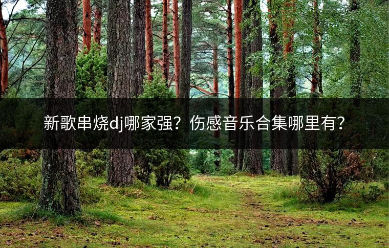 新歌串烧dj哪家强？伤感音乐合集哪里有？