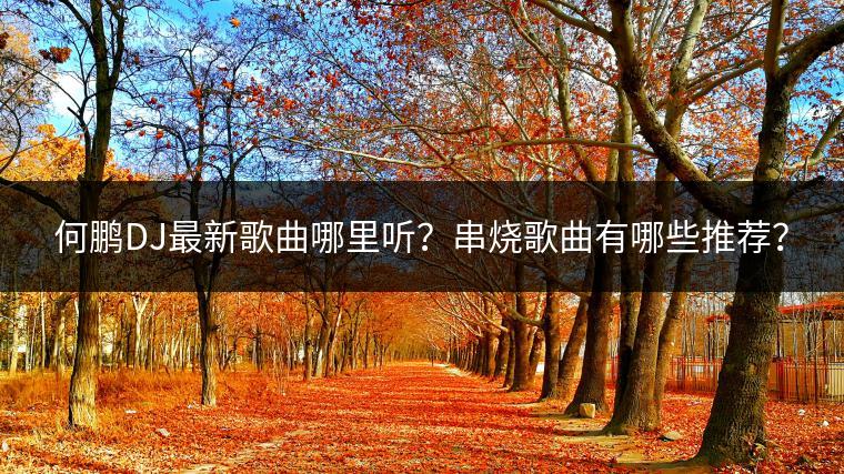 何鹏DJ最新歌曲哪里听？串烧歌曲有哪些推荐？